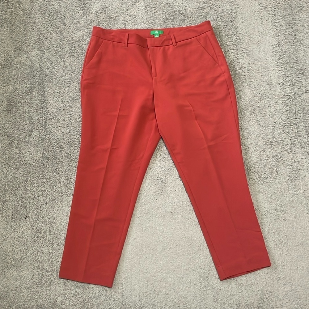 EC DIP Rust Colored Dress Pants - Size 16